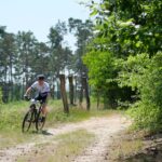 Marin Hawk Hill 1 Review — Triumph Bike Reviews