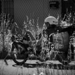Marin Nicasio Review — Triumph Bike Reviews