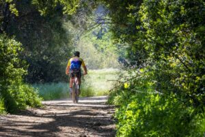 Motobecane 529HT Review — Triumph Bike Reviews