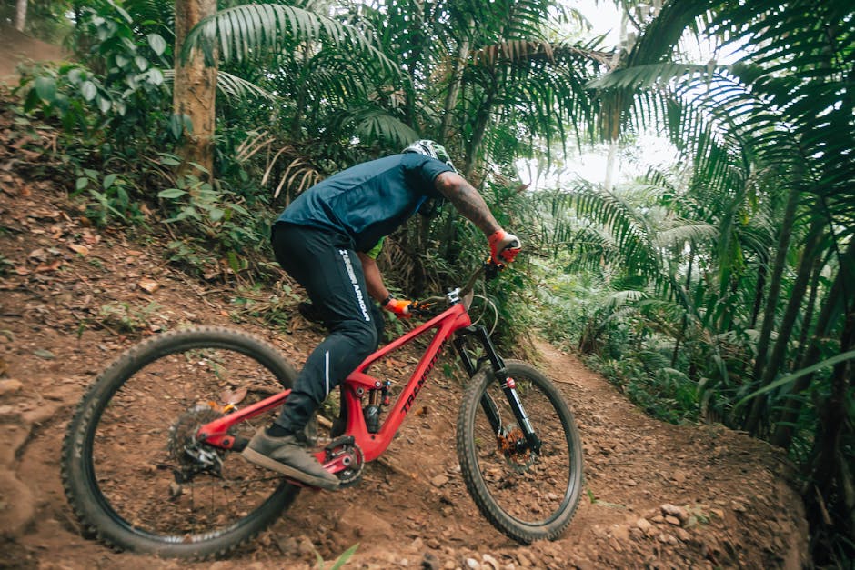 Raleigh Willard 1 Review — Triumph Bike Reviews