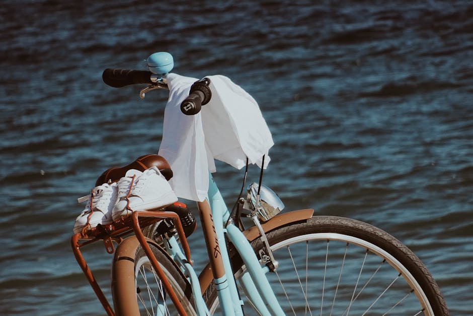 Schwinn Baywood Cruiser Bike Review — Triumph Bike Reviews