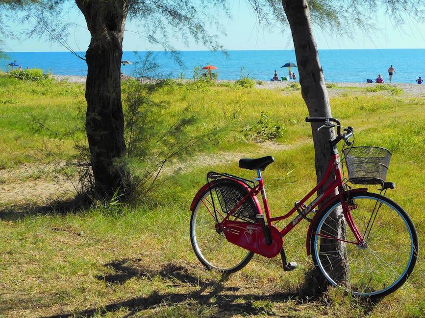 Schwinn Destiny Cruiser Bike Review — Triumph Bike Reviews