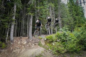 Schwinn High Timber Mountain Bike Review — Triumph Bike Reviews