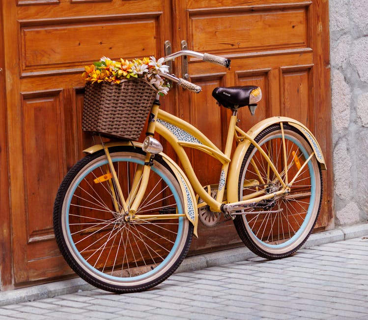 Schwinn Huron & Mikko Cruiser Bike Review — Triumph Bike Reviews