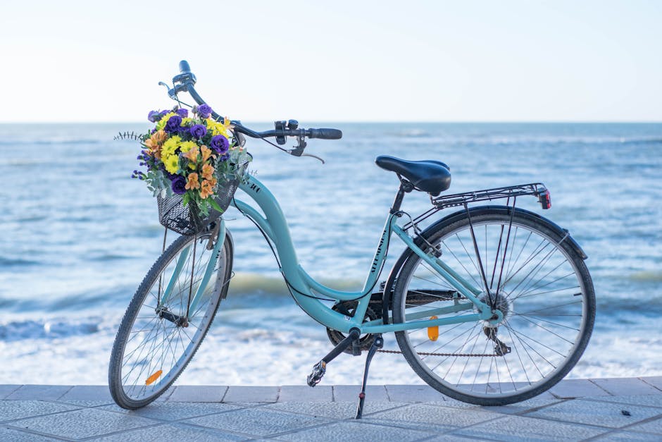 Schwinn Meridian Tricycle Review — Triumph Bike Reviews