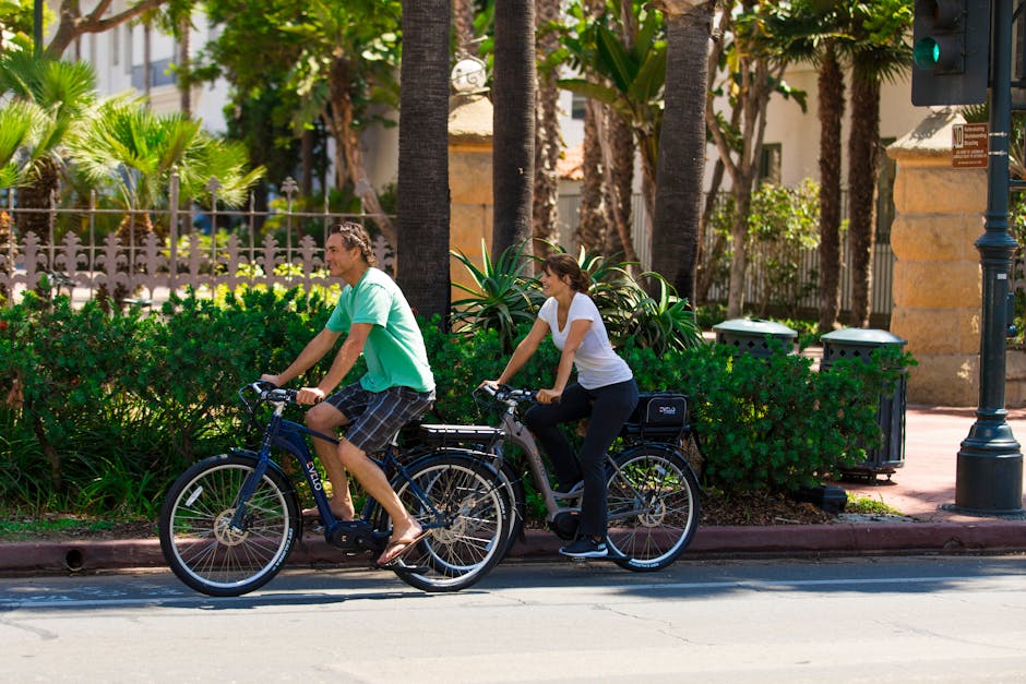 Schwinn Monroe Electric Bike Review — Triumph Bike Reviews