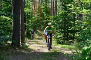 Schwinn Taff Mountain Bike Review — Triumph Bike Reviews