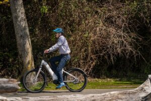 Schwinn Voyageur Electric Bike Review — Triumph Bike Reviews