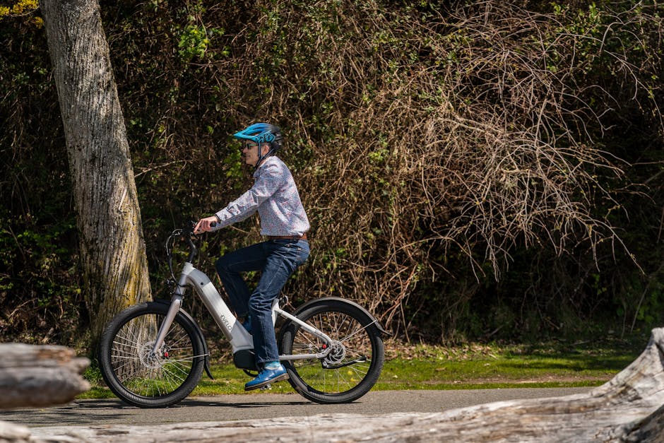 Schwinn Voyageur Electric Bike Review — Triumph Bike Reviews