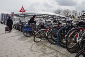 Trek Navigator Review — Triumph Bike Reviews